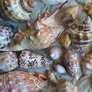 Meet your Posher, Mia